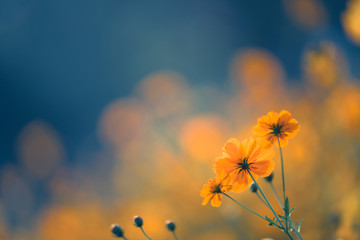 求GReeeeN的アメアガリ歌词和罗马音和翻译