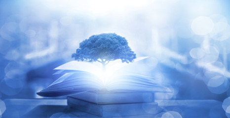 殡葬概念股有哪些