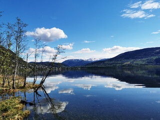 传媒十大龙头股都有哪些？
