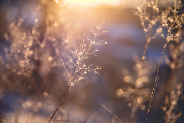 求GReeeeN的アメアガリ歌词和罗马音和翻译