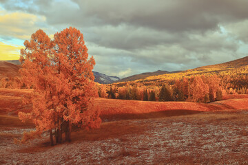 传媒十大龙头股都有哪些？