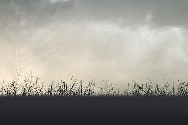 长沙黄花机场到长沙南站需要多久